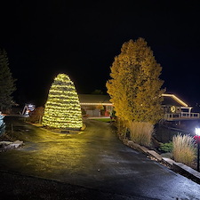 -Towering-Blue-Spruce-Tree-Wrap-Installation- 1